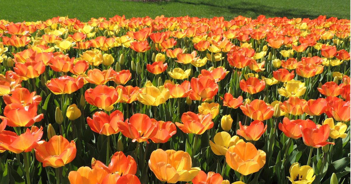 10 Great Teen Summer Jobs