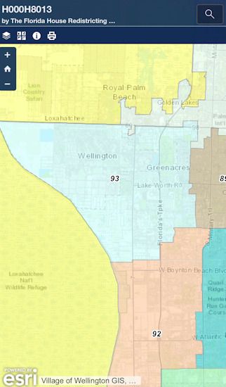 Florida House District 93
