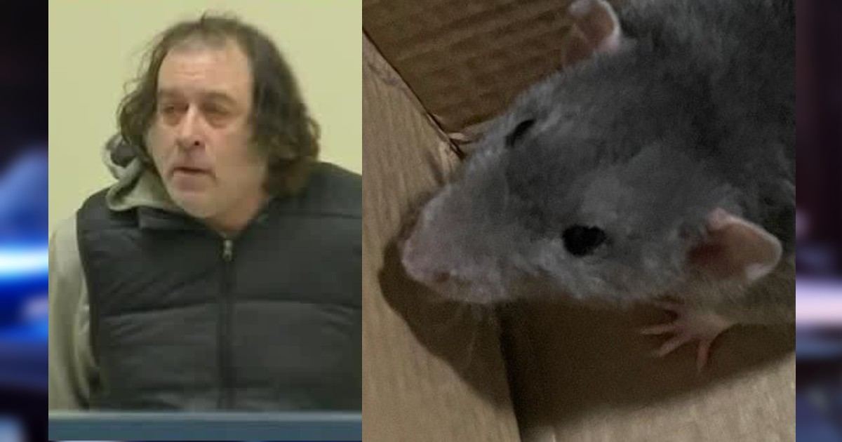 Boston Man Threatens People with His Pet Rat “Jerry” on the MBTA ...