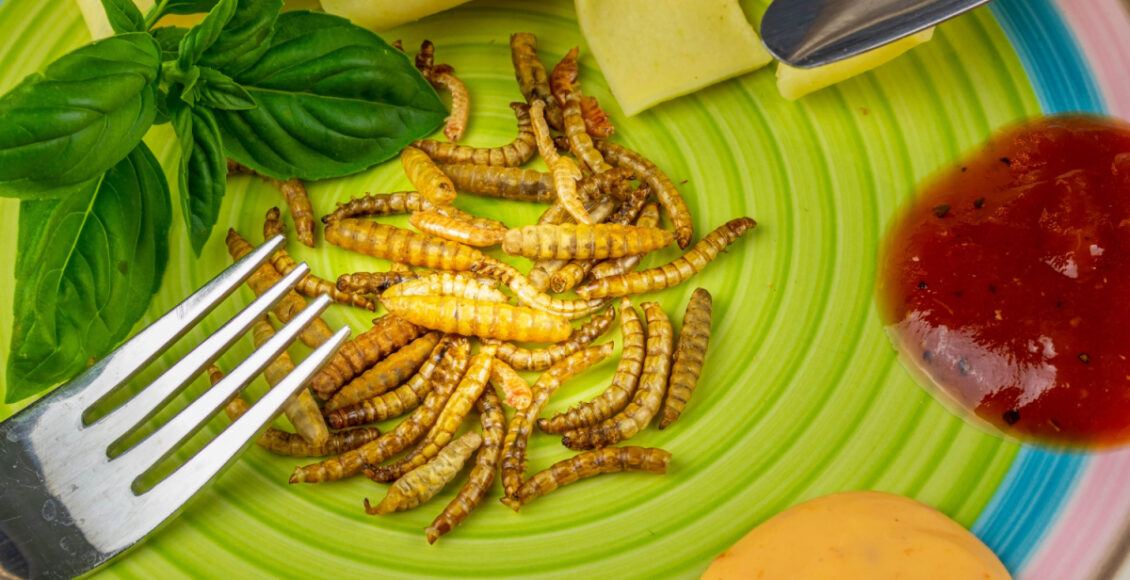Italian Insect Food