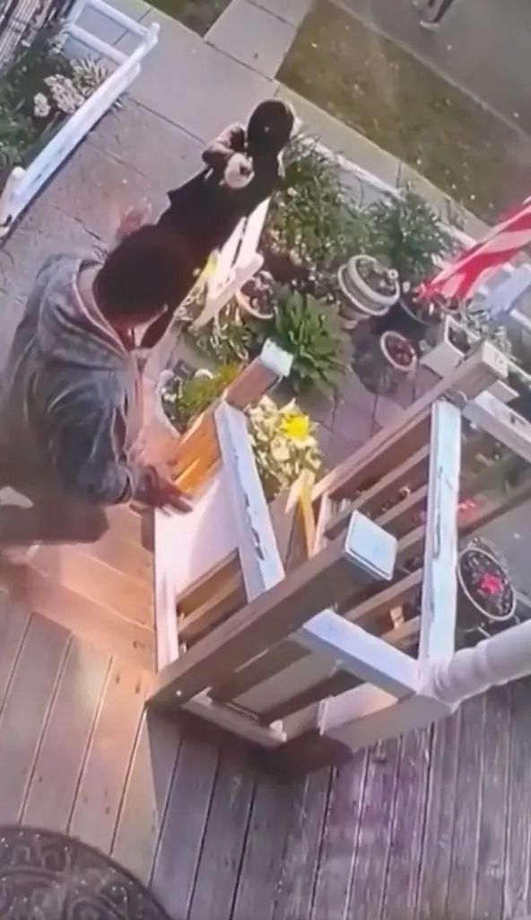 Chicago Dad Robbed at Gunpoint