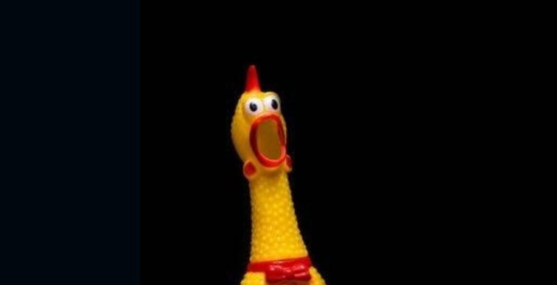 shocked chicken