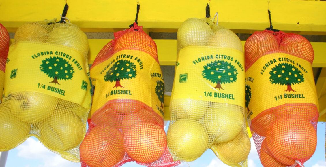 Florida Citrus