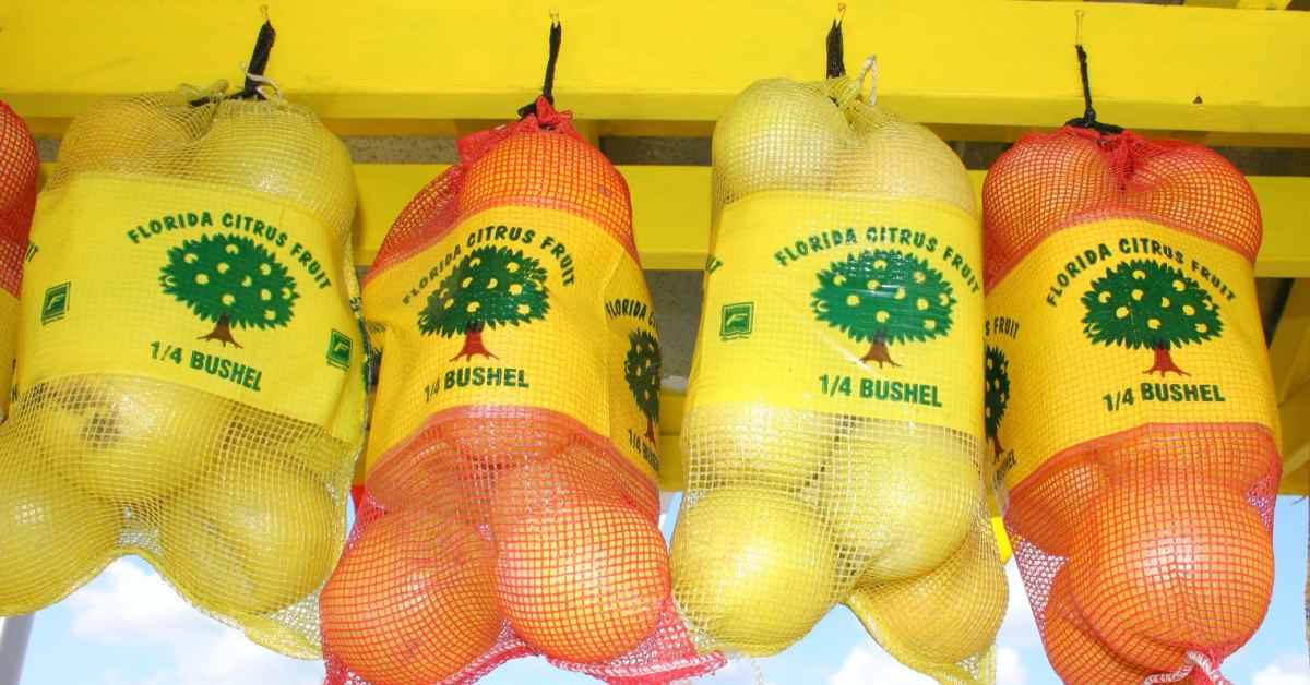 Florida Citrus